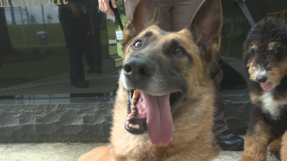 K9 Officer Brody is a therapy dog at Washington Co. Career Center with Deputy Sheriff Harlow