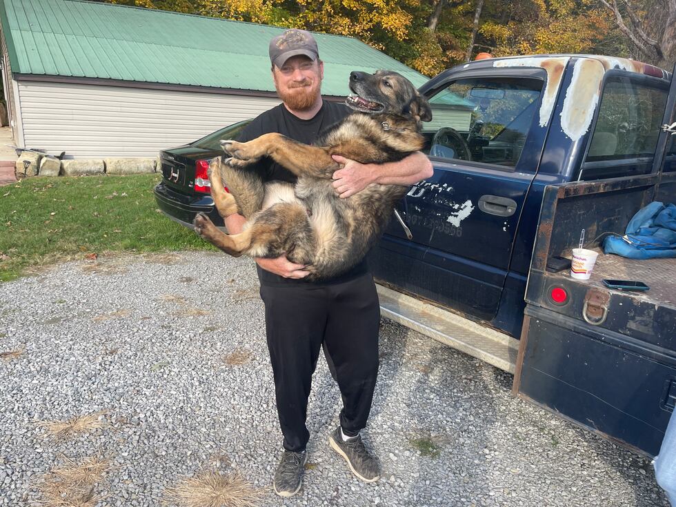 Police K9s are important members of every department.
From keeping people safe to...