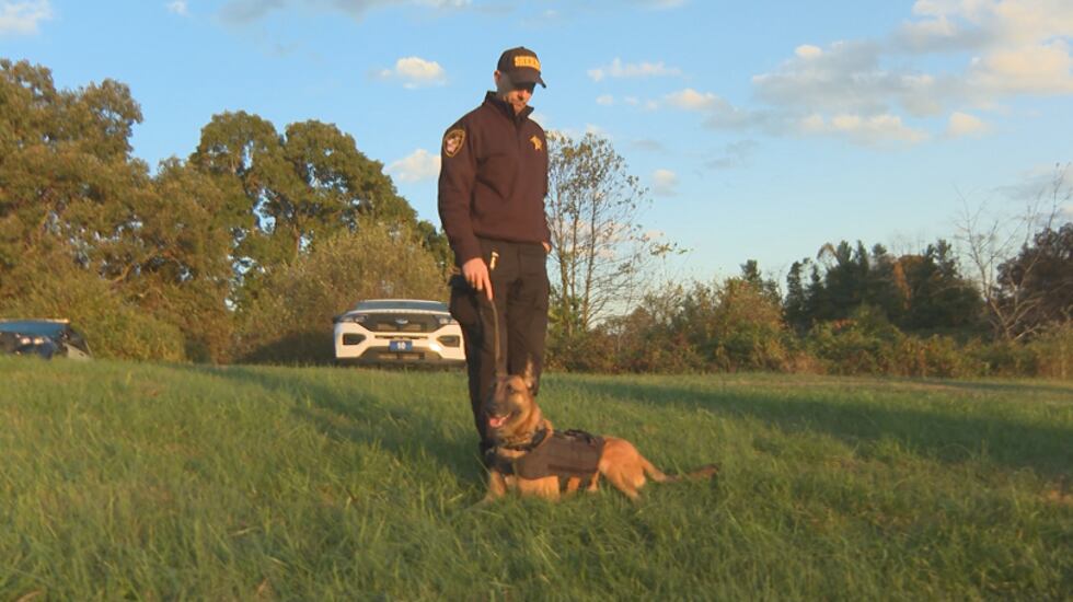 Police K9s are important members of every department.
From keeping people safe to...