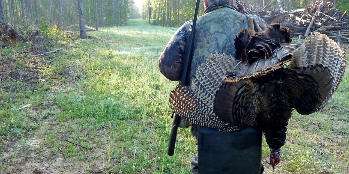 West Virginia fall turkey hunting season opens Saturday West Virginia fall turkey hunting season opens Saturday